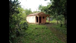 Finca Económica en Venta en República Dominicana NS29RT [upl. by Noiramaj880]