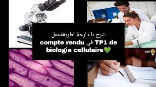 شرح بالدارجة لطريقة عمل compte rendu في TP1 de biologie cellulaire سنة اولى تخصص بيولوجي L1 Snv s1 [upl. by Eirahs486]