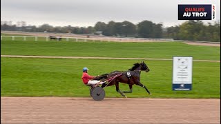 Qualifications Grosbois  Trot attelé  Lot 6 du 181024 [upl. by Scheld]