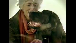 IAMS Dog Food Commercial  Early 2000s [upl. by Anitsirhk387]