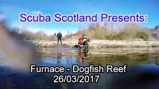 Furnace Dogfish Reef 26032017 [upl. by Sirrah]