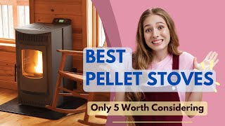 Best Pellet Stoves 2024  Only 5 Worth Considering [upl. by Whitebook274]