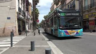 Les bus à Perpignan [upl. by Lleval]