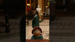 Paddington  Instant Information [upl. by Eissirc]