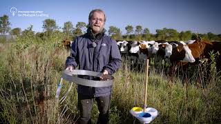 Biodiversitet i forbindelse med skovlandbrug [upl. by Staten]