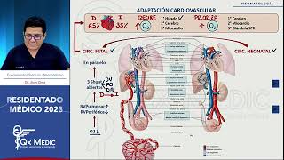 Adaptación cardíaca en neonatos [upl. by Aissatsana593]
