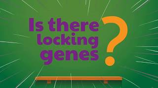 RNT 6 locking genes [upl. by Firmin]