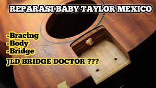 Reparasi Baby taylor  BracingbodyJLD bridge doctor brohends [upl. by Aniuqal]