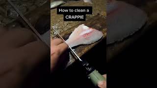 Step by Step  How to Fillet Crappie [upl. by Karlotte]