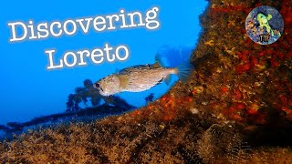 Loreto a hidden gem BCS 4K  Mexico [upl. by Auguste]