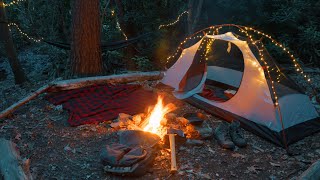 Camp and Forage Bushcraft Camping and Wild Harvesting Reishi Mushroom Wood Ear and Dryads Saddle [upl. by Asen]