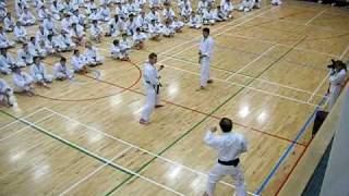 Jiyu Ippon Kumite Demonstration Nobuaki Kanazawa amp Seamus O Dowd [upl. by Peppard]