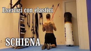 15 esercizi con gli elastici per la schiena [upl. by Ellissa]