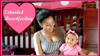 Breastfeeding a Toddler  Pros amp Cons [upl. by Endor]