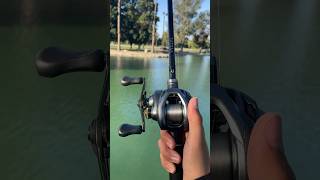 Shimano Curado DC Casting Sound [upl. by Itida900]