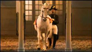 The Spanish Riding School of Vienna Part 22 [upl. by Hagile]