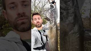 Fishing at the Fox River in Illinois 🎣 fishing fishinglife fishingvideos fishingtrip fish [upl. by Dygert]