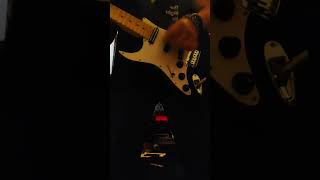 Frail and Bedazzled Cover music rock guitar cover smashingpumpkins fyp fypシ [upl. by Siurtemed652]