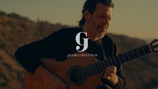 Jacob Gurevitsch  Luna Love  Spanish Instrumental guitar music [upl. by Celeski755]