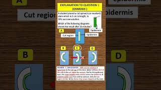 SPM BIOLOGY FORM 4 CHAP 3 ANSWER FOR QUESTION ON MUSTARD STEM in hypertonic solution I OSMOSIS [upl. by Capon]