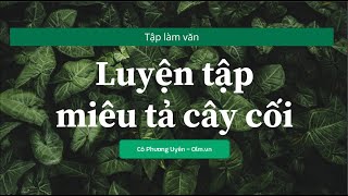 Tập làm văn Luyện tập miêu tả cây cối  Tiếng Việt 4 OLMVN [upl. by Swerdna]