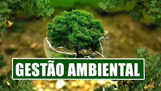 O QUE É GESTÃO AMBIENTAL [upl. by Anos]