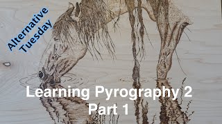 Learning Pyrography 2 part 1 [upl. by Eidoj127]