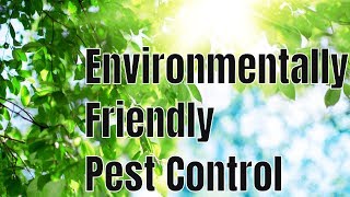 What is the Most Environmentally Friendly 🌎 Pest Control Treatment [upl. by Rehpotsirahc]