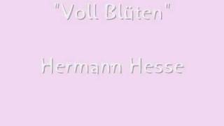 Voll Blüten  Hermann Hesse [upl. by Enilram339]