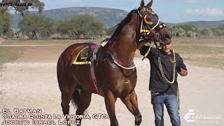 🔥Quematierra Vs Batman 🦇 Vs Gronda 👺🔥 Carril El Alacran🦂 QRO [upl. by Millwater]