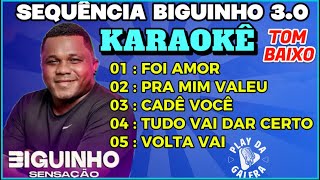 KARAOKÊ  SEQUÊNCIA BIGUINHO SENSAÇÃO 5 playbacks com letra  TOM BAIXO [upl. by Marline446]