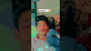 Ye Apni Company Hai 🕊️  Pigeon Status Video  pigeon youtubeshorts kabutarbazi pigeonlover [upl. by Atnoek656]