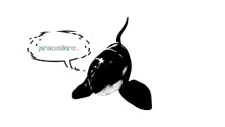 The Seaworld Recordings  Procedure [upl. by Hairom]