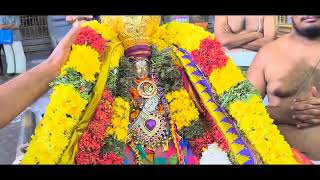 Tharamani Desikar Thirunakshatram Utsavam Oct 2024 [upl. by Lindner]