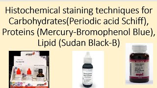 Histochemical staining techniques for Carbohydrates Proteins Lipid [upl. by Old]