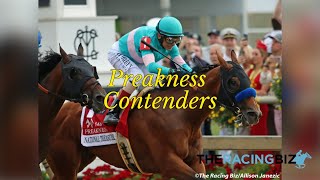 Meet the Preakness contenders [upl. by Orsini144]