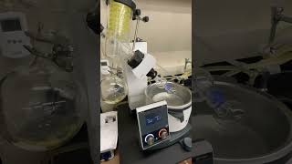 Rotary Evaporation of Phenacetin from Acetaminophen Synthesized by the Williamson Ether Synthesis [upl. by Semele]