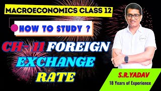 ch 11 foreign exchange rate  class 12  Macroeconomics [upl. by Moor]