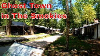 The Great Smoky Mountain Ghost Town  Daisy Town at Elkmont  Gray Life Quick Clips 05192023 [upl. by Tilden861]