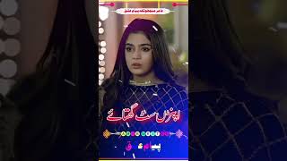 news saraiki song WhatsApp status saraiki short status HD [upl. by Aneroc]