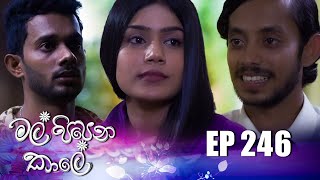 Mal Pipena Kale  Episode 246 13th September 2022 [upl. by Essenaj]