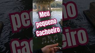 PESCA EM CACHOEIRO DO ITAPEMIRIM TERRA NATAL DO REI ROBERTO CARLOS 🐟🎵 capixaba cachoeiro tbt [upl. by Noillid]