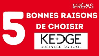 5 bonnes raisons de choisir KEDGE BS [upl. by Ainesej]