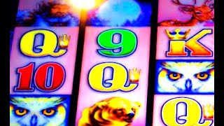 TIMBER WOLF 1c SLOT  LIVE PLAY WITH BONUSES GoldenOldies [upl. by Merrill915]