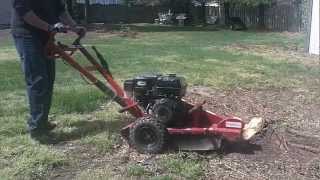 Stump Grinding with a Home Depot Rental Grinder [upl. by Mapes]