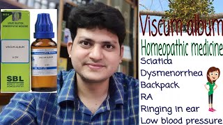 Viscum Album  Homeopathic medicine Viscum album  Sciatica  Low blood pressure  Dysmenorrhea [upl. by Ateiram811]