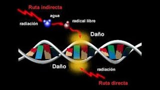 Radiación en los niños [upl. by Peltz]