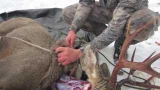 EatWild  Skinning a Deer with the Truck Method [upl. by Annoyik]