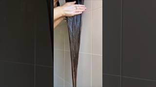 Tips 95 Washing Hack For Silky Shiny Hair Healthy amp Problem Free Scalp shorts haircare shampoo [upl. by Dnaloy]