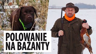 Grudniowe polowanie na bażanty [upl. by Schaaff]